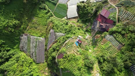 vista general del paisaje del distrito de brinchang dentro del área de cameron highlands de malasia