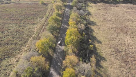 aerial-following-a-grey-car-driving-on-an-open-road-with-rows-of-trees-on-both-sides