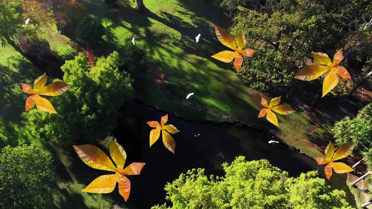 Vista aérea de la caída de hojas otoñales en un parque apacible con aves en vuelo.