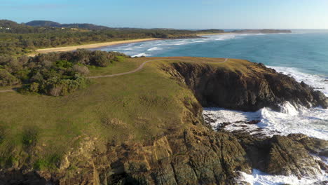 gran tiro de drones de canguros en un acantilado en coffs harbour australia