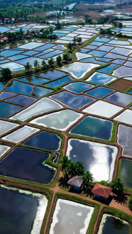 fish ponds aerial view of agricultural landscape