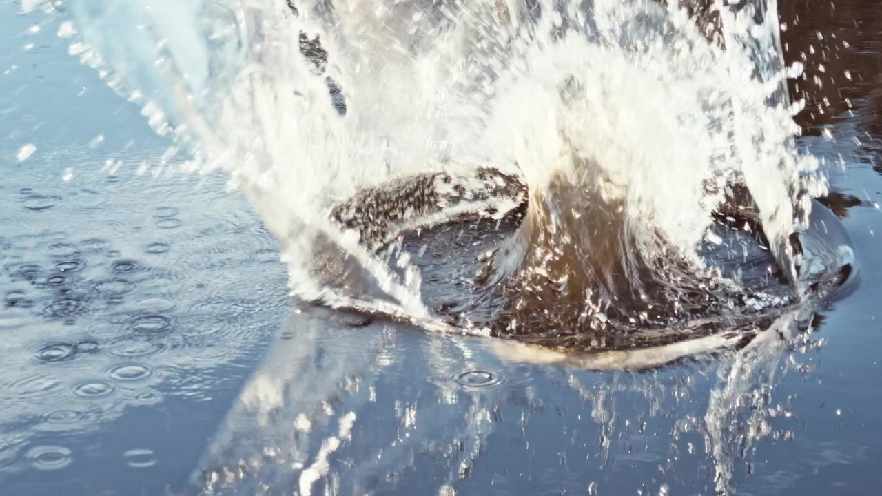 Schizzi d'acqua concentrici da una pietra lanciata in un lago.