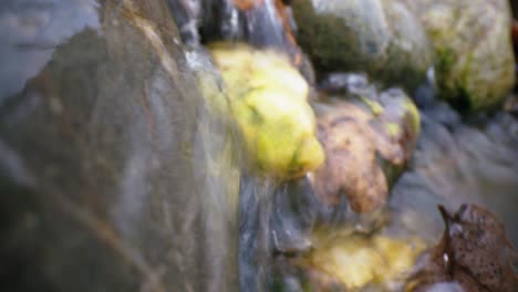 camera in the water on the surface of a river, detail of water droplets and decomposing matter