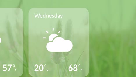 animation of weather forecast over grass