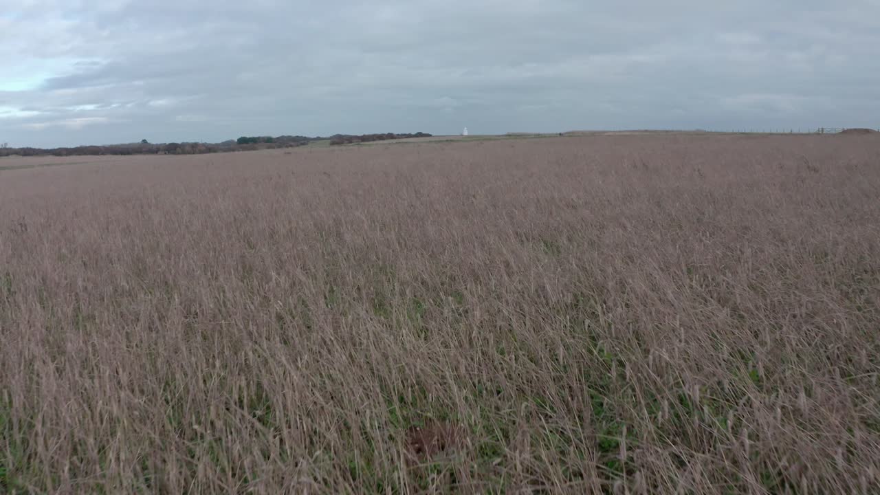 남쪽 포랜드 등대 도버를 향해 잔디밭 위에 낮은 빠른 드론 샷