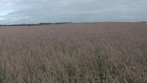 low fast drone shot over grassy fields towards south foreland lighthouse dover