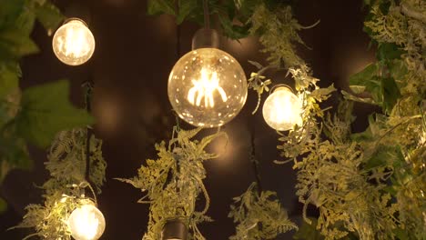 hanging lights with interior garden