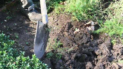 una persona cavando en el jardín con una pala