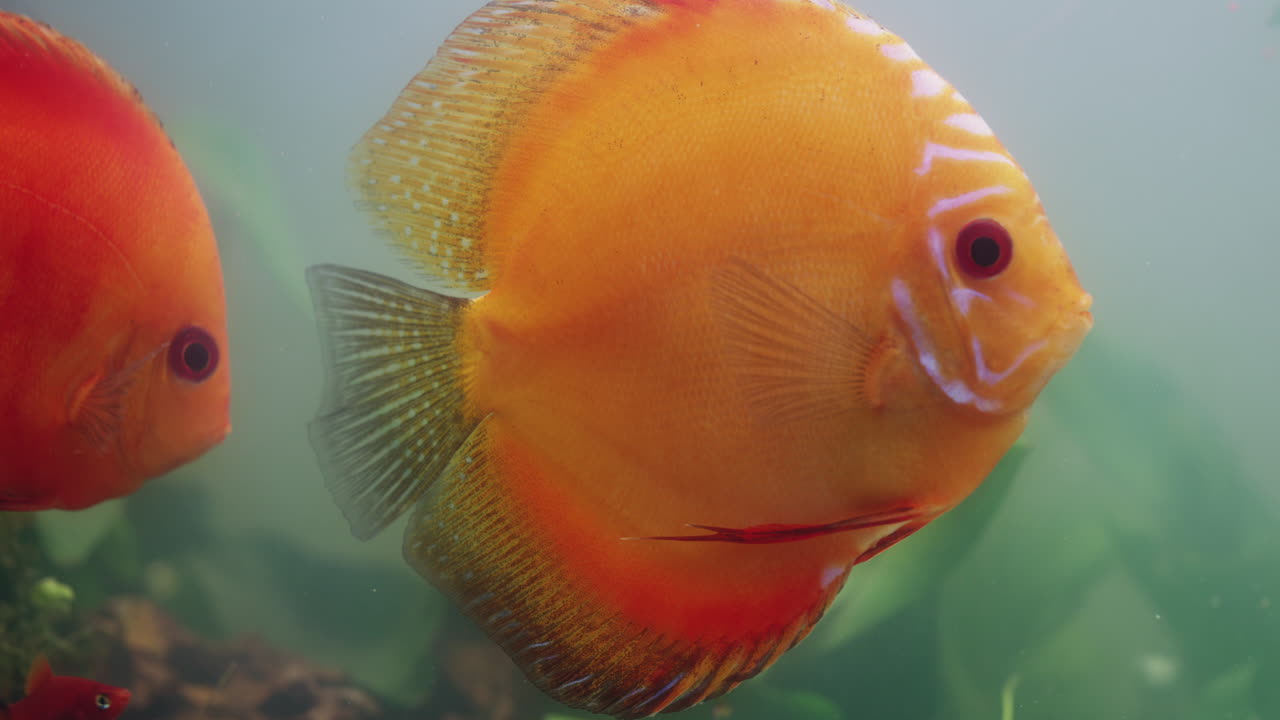 He's got places to go