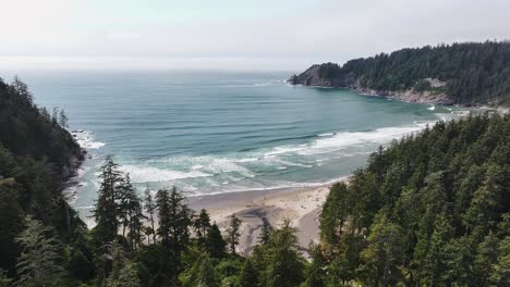 Abgelegener-Strand-Im-Wald,-Drohnenaufnahme