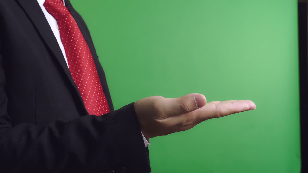 Businessman Presenting