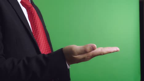 Businessman Presenting