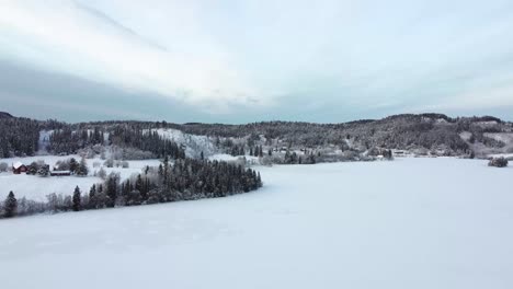 traverse the enchanting snow-laden forest, where every tree branch is delicately adorned with a pristine layer of snow, creating a magical atmosphere that transports you to a realm of tranquility