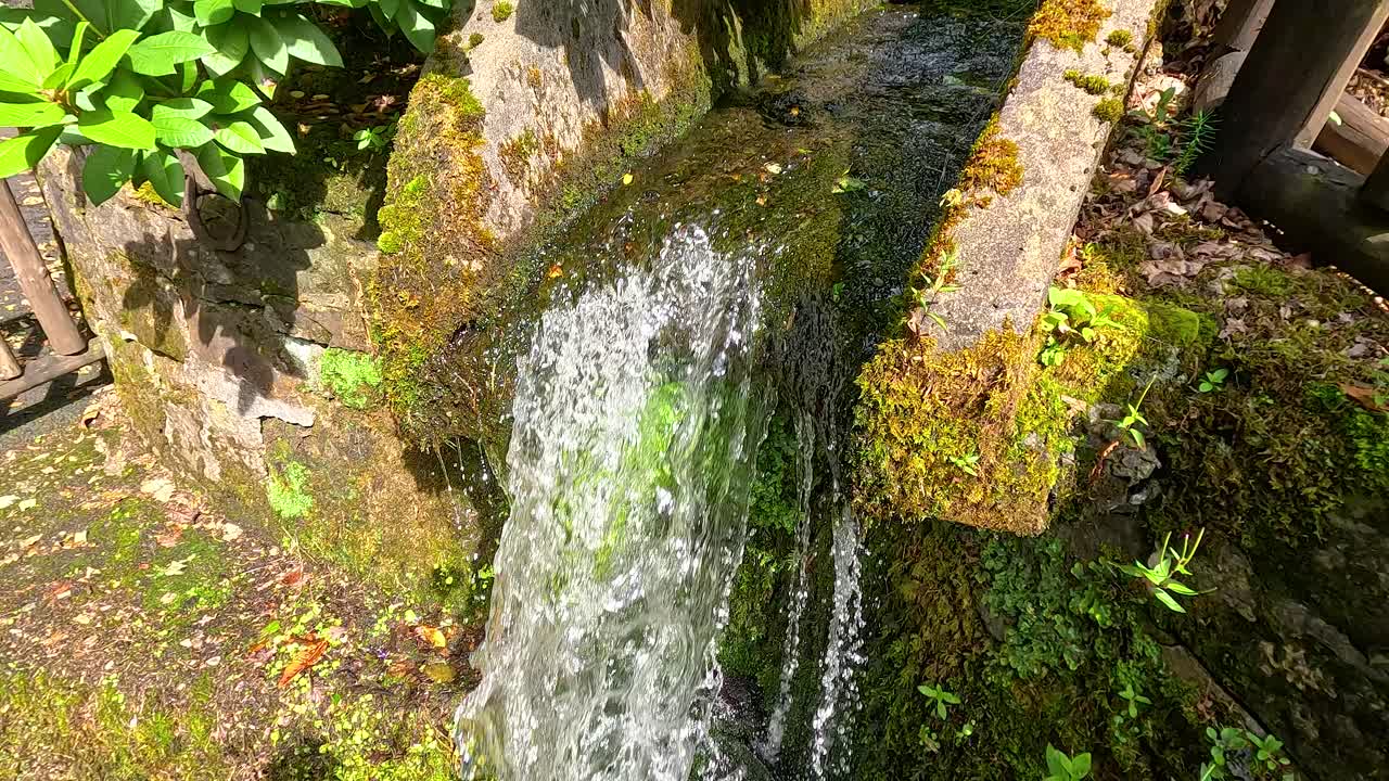 Water flowing over mossy rocks