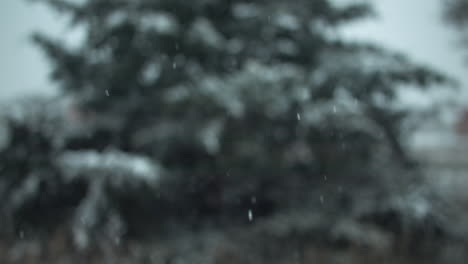 Slow-motion-Christmas,-winter-snowfall-background