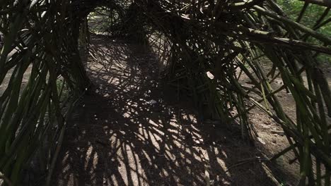 exterior view of the architectural natural forest building