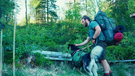 mochilero hombre caucásico con perro malamute de alaska en los senderos en el bosque salvaje
