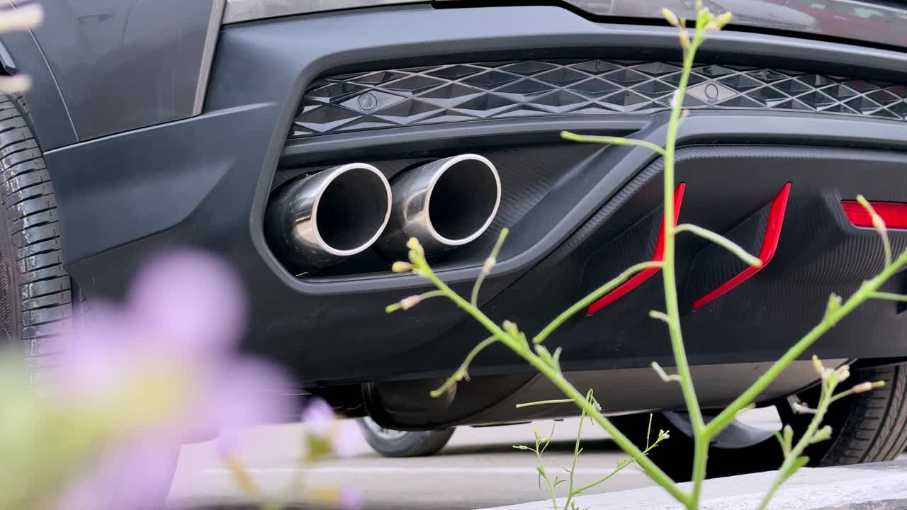 Vista di doppi scarichi e diffusore posteriore su un'auto sportiva moderna parcheggiata all'aperto, con fiori sfocati in primo piano, finiture nere, accenti rossi e profondità di campo ridotta.