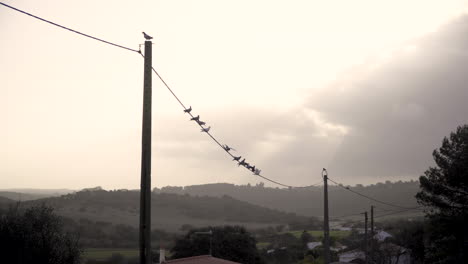 los pájaros aterrizan en el cable eléctrico y vuelan de nuevo con las montañas en el fondo.