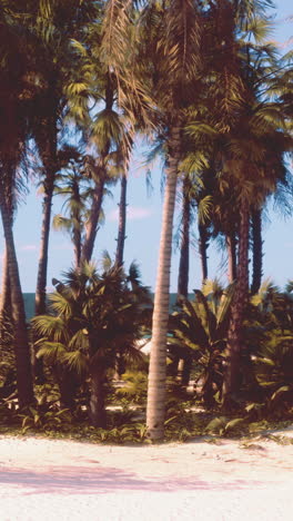 beautiful tropical beach with palm trees