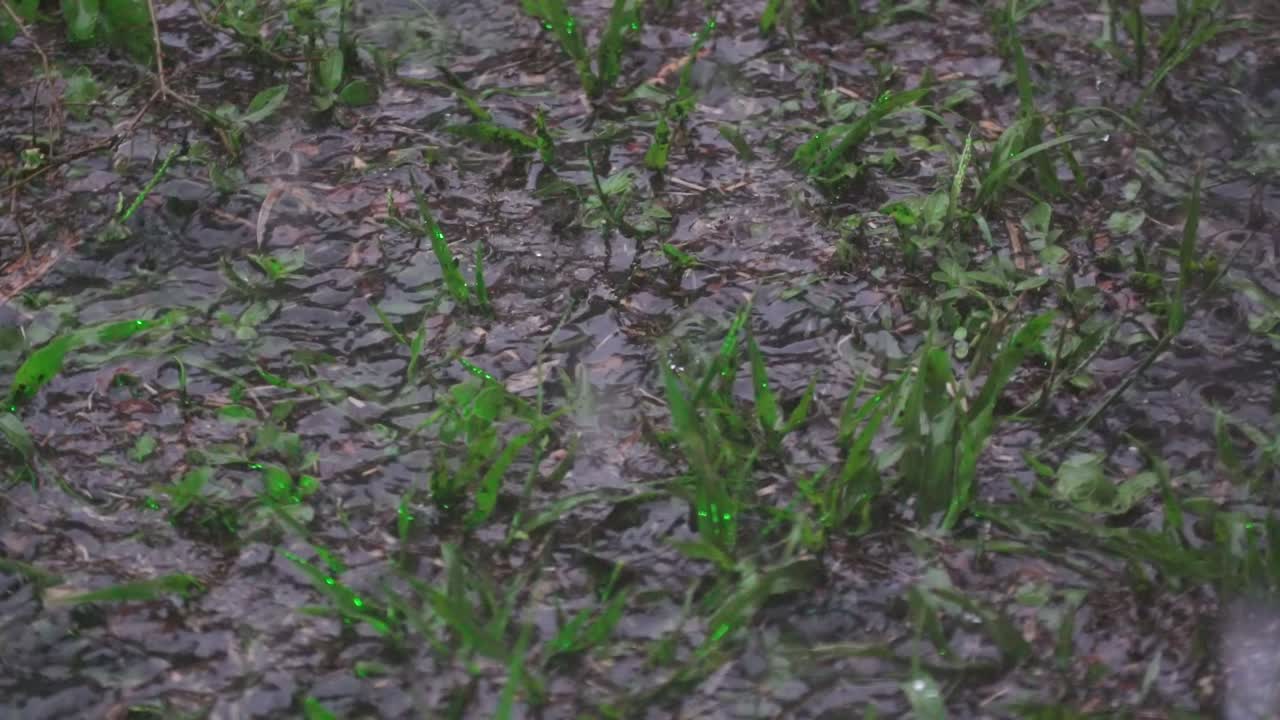 비는 포화 된 땅 위에 계속 내리고 있습니다.