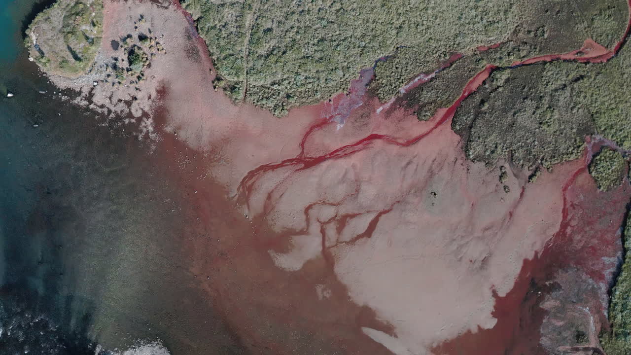 강을 따라  ⁇ 은 모래, 숲이 우거진 풍경의  ⁇  다운 드론  ⁇