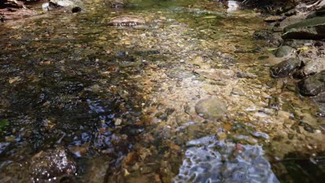 clear mountain stream flowing over rocky bed