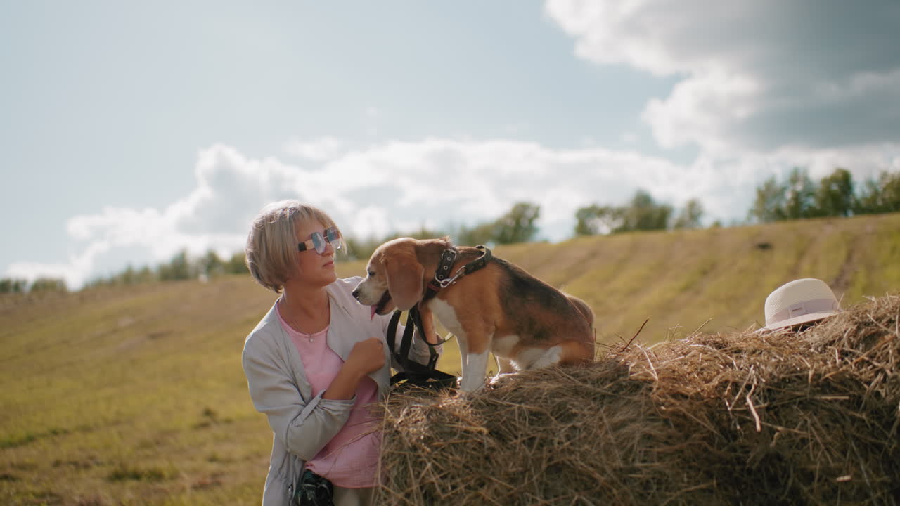 Smiling woman in sunglasses plays with her beagle puppy on a haystack in open farmland, the playful dog leans in to lick her face while others nearby enjoy the moment under sunny skies