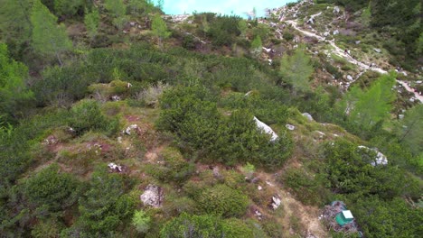 Drone's-eye-view-over-a-coniferous-forest-unveils-the-blue-Sorapiss-Lake,-Dolomiti