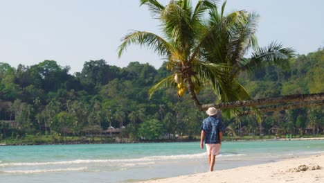 A-man-is-walking-under-a-palm-tree-on-a-stunning-tropical-beach-on-a-clear-blue-day,-located-on-Koh-Kood-Island-in-the-country-of-Thailand-in-Southeast-Asia