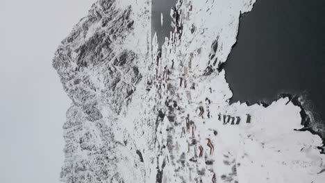 vertical - reine village with snow-covered cabins and mountains in winter in norway's lofoten islands
