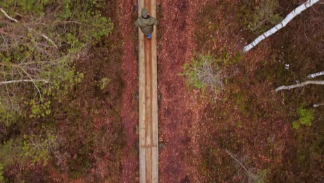 Top-down-aerial-view-of-man-walking-on-narrow-wooden-path-in-swamp,-Latvia