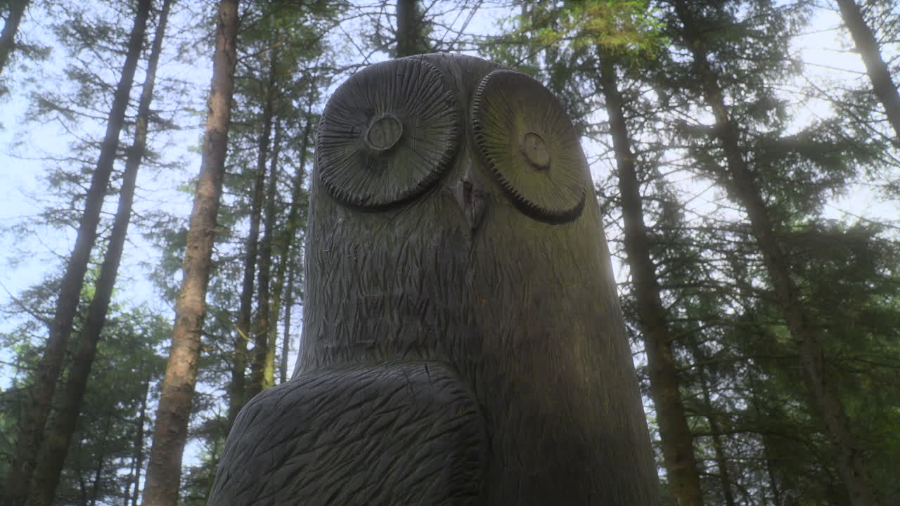 escultura de búho en el bosque inglés con la luz del sol cayendo sobre la escultura y pan muy lento
