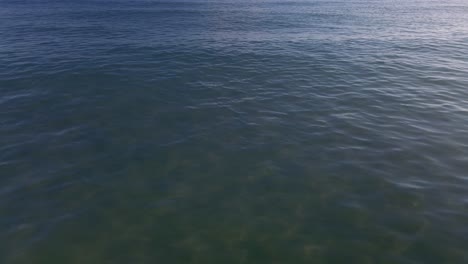 calm ocean waves on a clear day