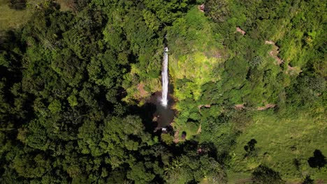 hidden flowing viento fresco waterfall in dense green jungle scenario