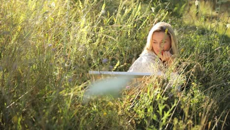 the artist draws an autumn landscape while sitting in tall grass the artist draws an autumn landscape while sitting in tall grass