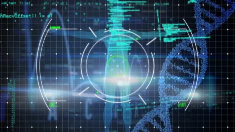 Animation-Verschiedener-Datenverarbeitung,-Menschliches-Modell-Und-DNA-Auf-Schwarzem-Hintergrund