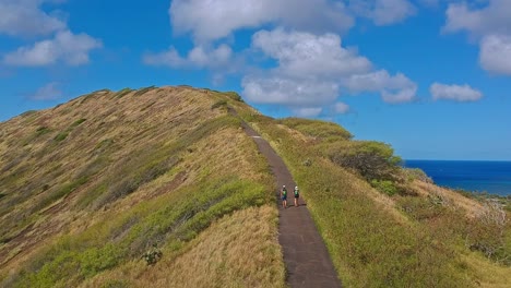 Vista-Aérea-De-Excursionistas-Subiendo-Senderos-Para-Revelar-El-Océano-Pacífico-En-Oahu