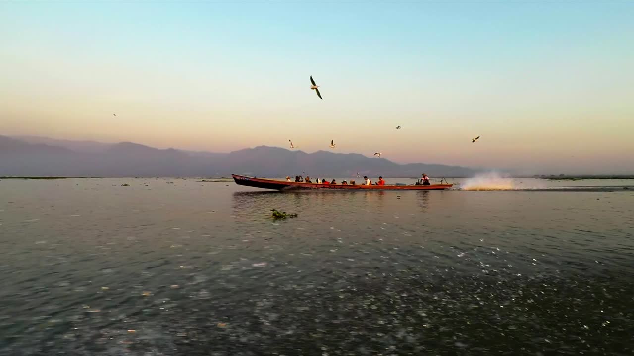 myanmar lago inle pájaros alimentación lancha rápida muchos