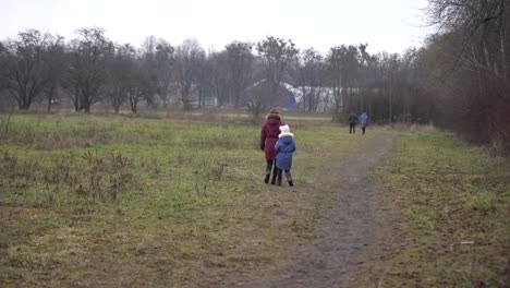 Menschen-Gehen-Im-Januar-Durch-Den-Düsteren-Park