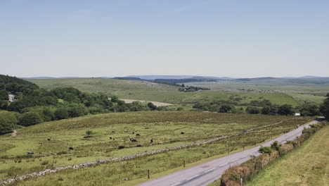 quiet country road in dartmoor national park devon, aerial pan down