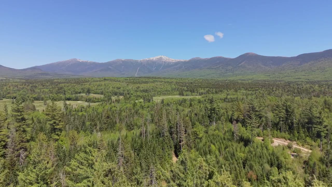 Dramatisk droneflyvning over uendelig stedsegrøn skov, der strækker sig mod det fjerne sneklædte Mount Washington i White Mountain National Forest under klar blå himmel, New Hampshire, USA