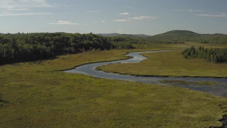 union river whales back meandering off into distance eastern maine aerial