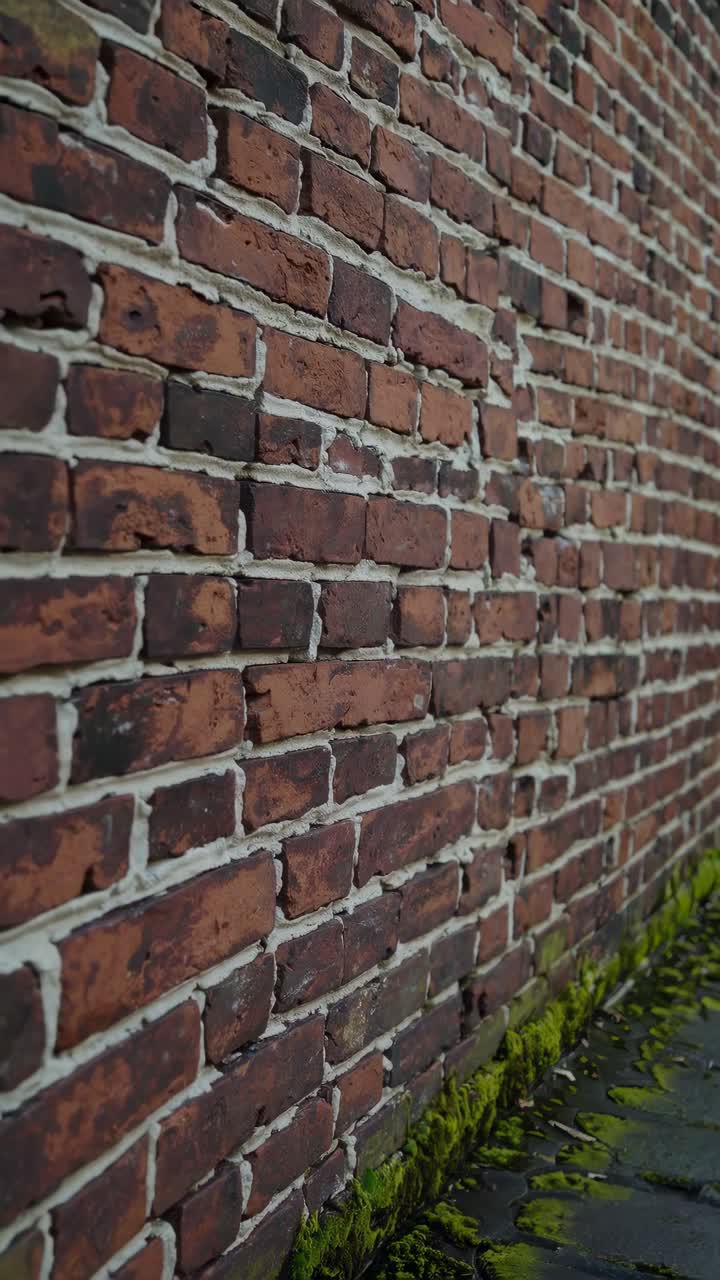 A low-angle video shot of a rustic brick wall with moss at the base, showcasing texture and depth