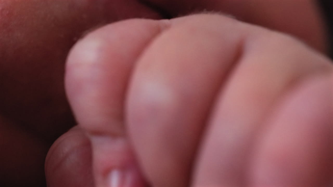 Close up of a newborn baby's tiny hand clenched in soft natural light while resting