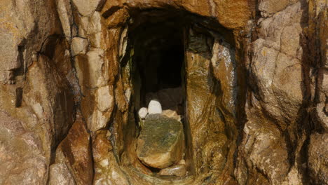 mysterious coastal cornwall mine entrance dripping water, reveal