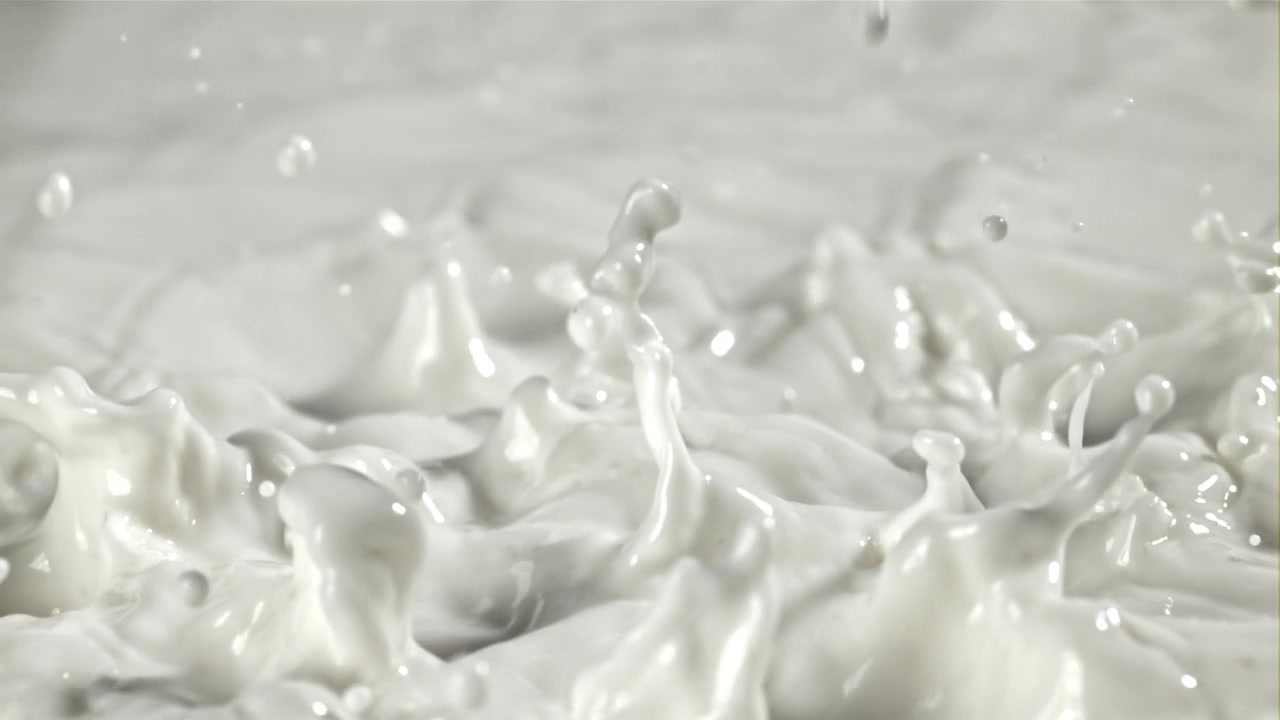 Fresh White Milk Splashing in Slow Motion