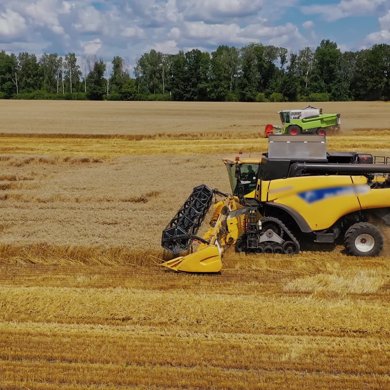Grain harvesting combine in a sunny day. Yellow field with grain. Agricultural technique works in field.