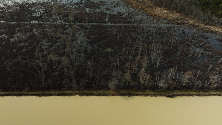 Wetlands in Ed Gordon point remove Wildlife Management area, aerial shot