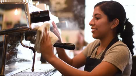 barista skill: a dedicated coffee artisan perfects the espresso machine, ensuring every cup is made with precision and care while keeping the equipment spotless